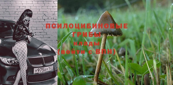 ГАЛЛЮЦИНОГЕННЫЕ ГРИБЫ Алексин