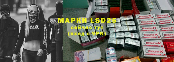 ГАЛЛЮЦИНОГЕННЫЕ ГРИБЫ Алексин