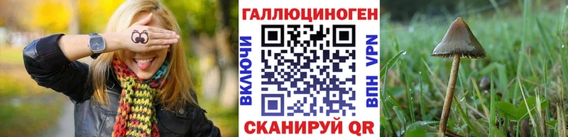дарнет шоп  Тогучин  Галлюциногенные грибы мухоморы 